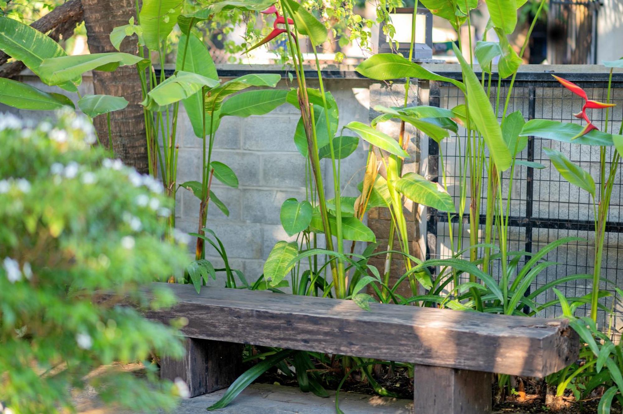 Mayci Boutique Hotel & Restaurant By Amber ฮอยอัน ภายนอก รูปภาพ